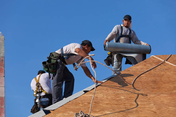 Best Gutter Installation and Roofing  in Merrill, WI