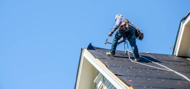 Best Sealant for Roof  in Merrill, WI